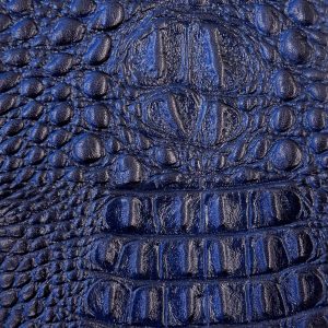 سرمه ایی کروکدیل برجسته